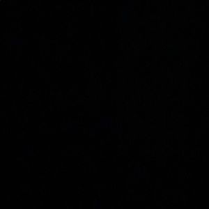 Meet your Posher, Chase